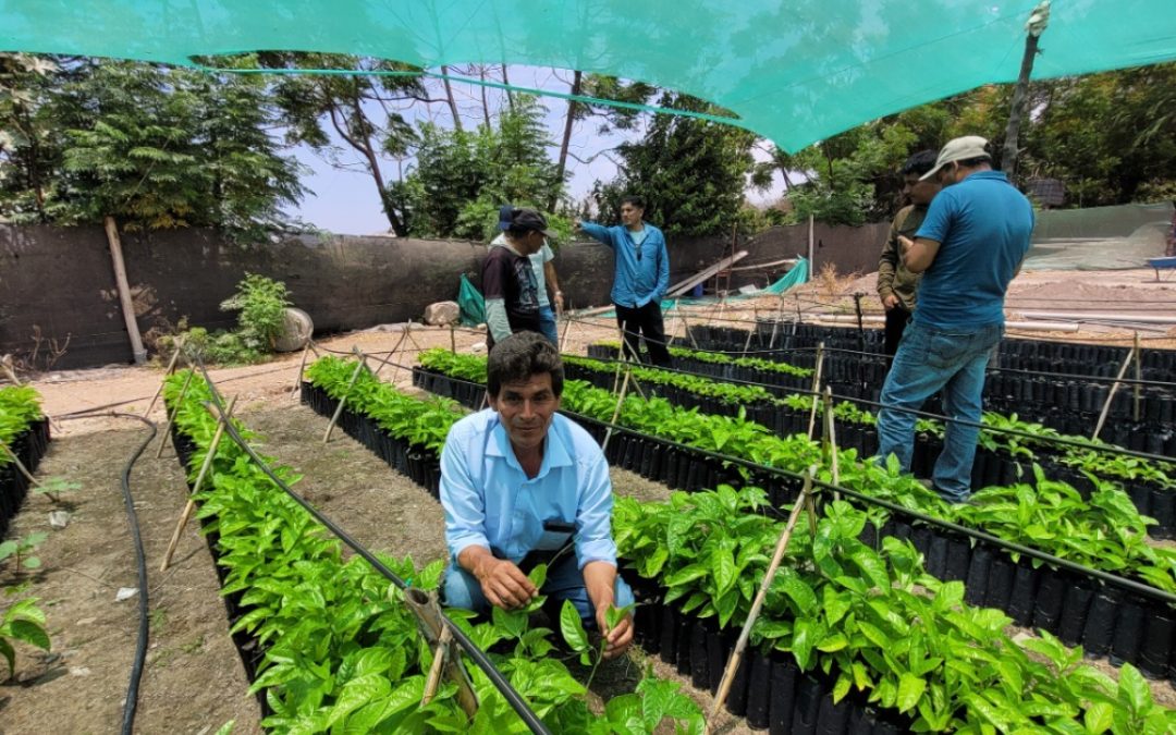 PECH INICIA PLAN DE TRABAJO CON AGRICULTORES PARA FORTALECER SU INGRESO A MERCADOS INTERNACIONALES