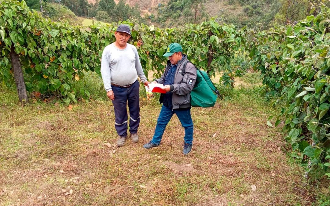 REALIZAN ENCUESTA NACIONAL DE INTENCIONES DE SIEMBRA EN LA REGIÓN LA LIBERTAD