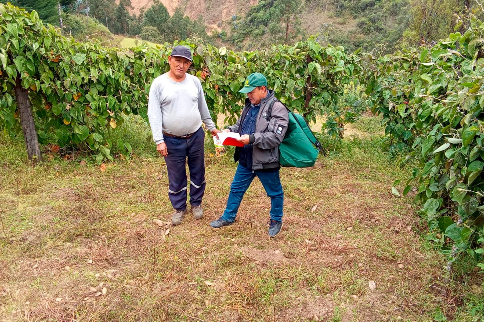 REALIZAN ENCUESTA NACIONAL DE INTENCIONES DE SIEMBRA EN LA REGIÓN LA LIBERTAD