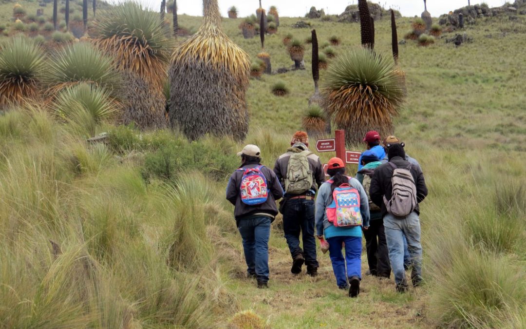 LA LIBERTAD IMPULSA EL IV FESTIVAL TURÍSTICO REGIONAL DE LA PUYA RAIMONDI 2025: