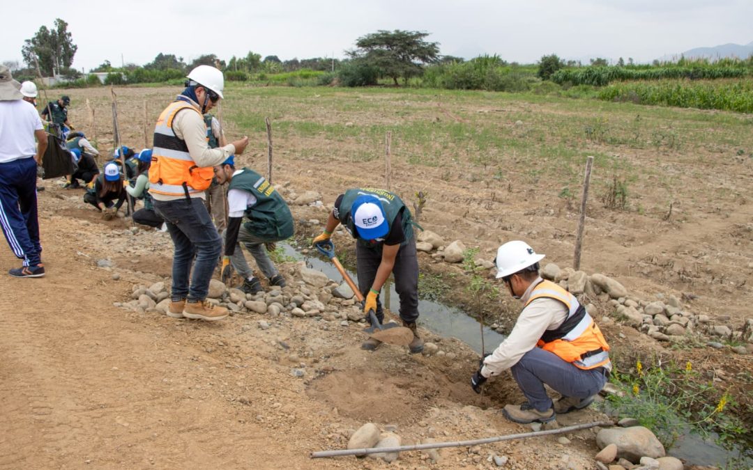 GORE IMPULSA LA REFORESTACIÓN DE LA RIBERA DEL RÍO MOCHE