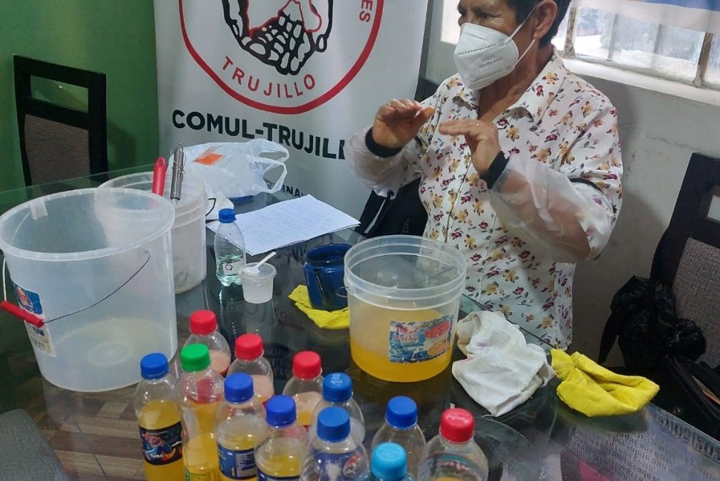 MADRES DE FAMILIA APRENDEN A ELABORAR JABÓN LÍQUIDO EN TALLER GRATUITO IMPULSADO POR EL GORE