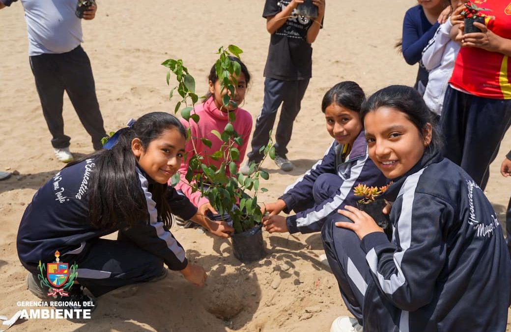 GORE LA LIBERTAD SEMBRÓ MIL PLANTAS ORNAMENTALES EN INSTITUCIONES EDUCATIVAS DE ALTO TRUJILLO