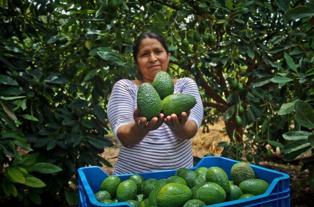 GORE ANUNCIA PROCOMPITE 2025 QUE FINANCIARÁ PROYECTOS PRODUCTIVOS CON S/ 42.8 MILLONES