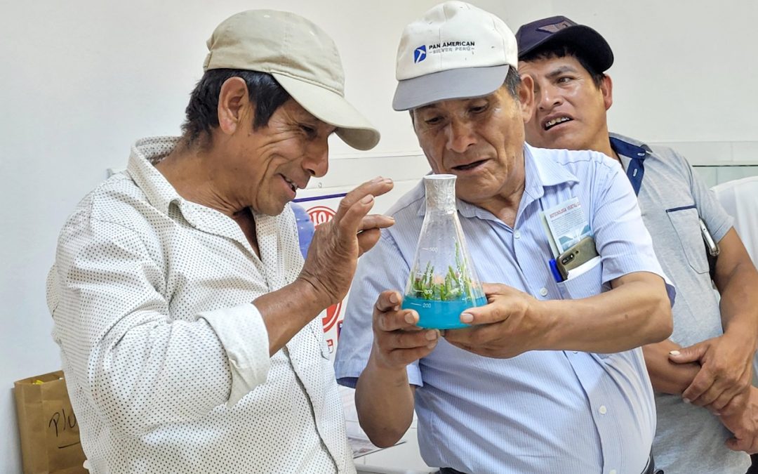 GORE IMPULSA PASANTÍA AGRARIA DE PEQUEÑOS PRODUCTORES DE SÁNCHEZ CARRIÓN