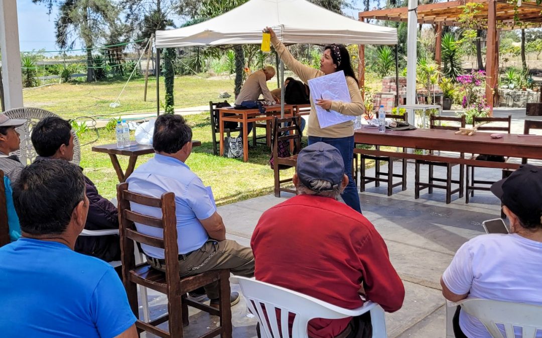 GORE IMPULSA EL FORTALECIMIENTO DE PRODUCTORES CON CAPACITACIÓN TÉCNICA INTEGRAL