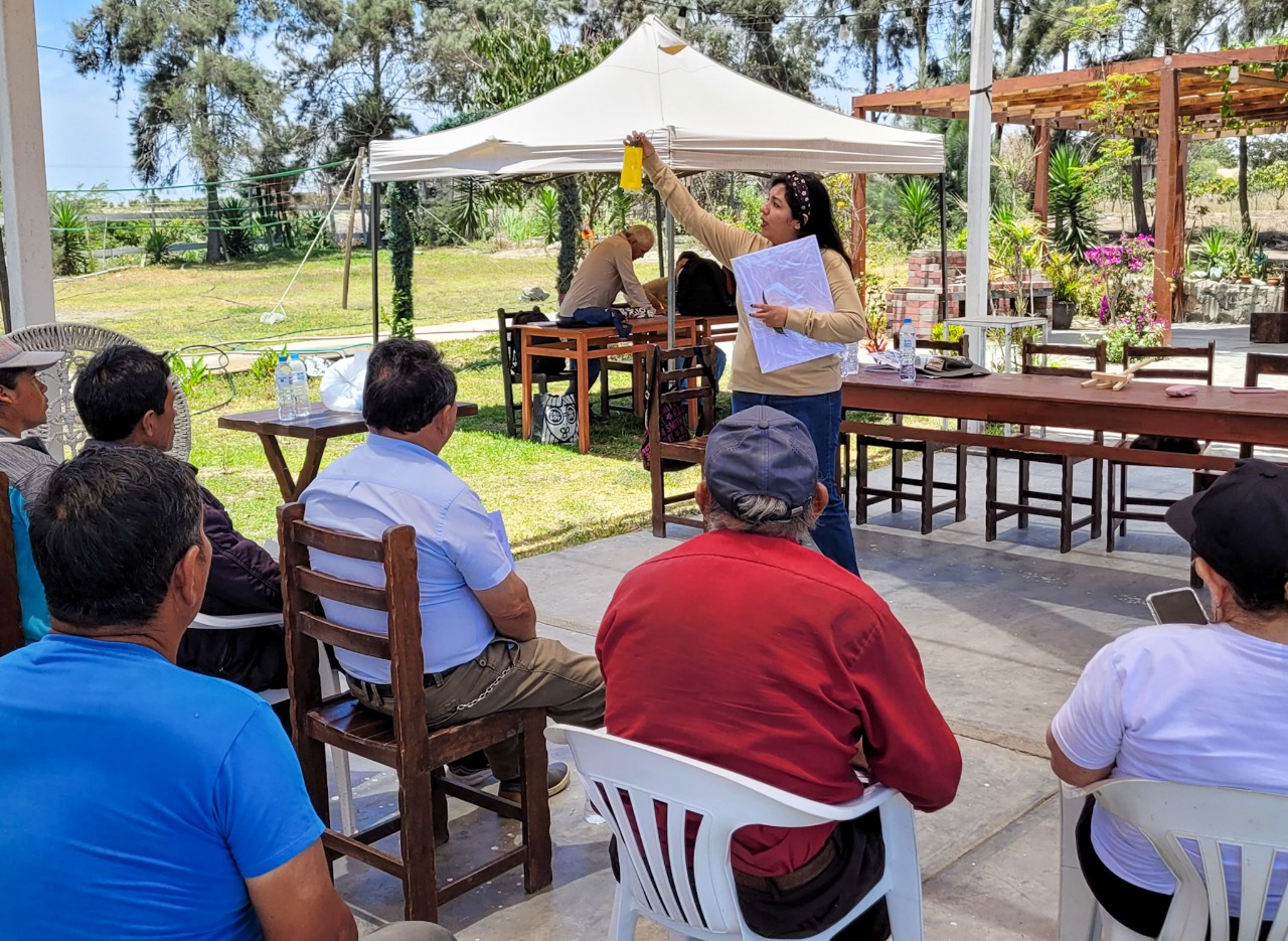 25 de noviembre – Pech 1