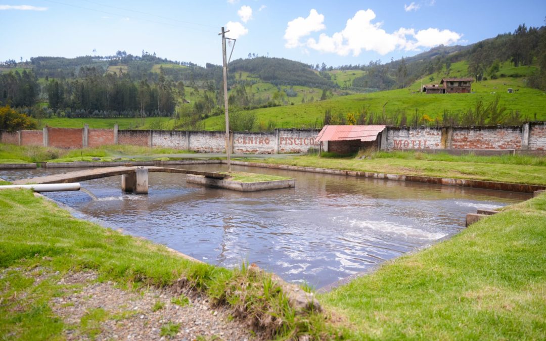 GORE PLANTEA DECLARAR DE INTERÉS LA REMODELACIÓN DEL CENTRO PISCÍCOLA DE MOTIL