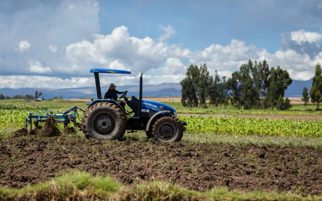 MÁS DE 1800 AGRICULTORES SE BENEFICIARÁN CON PROYECTOS EN CADENAS PRODUCTIVAS DE PAPA, GRANOS ANDINOS Y PALTA