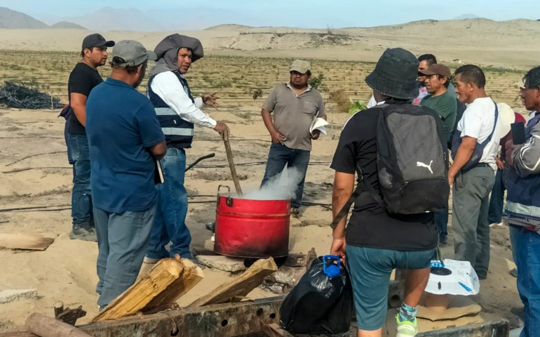 CHAVIMOCHIC FORTALECE CAPACIDADES PRODUCTIVAS E IMPULSA CULTIVO DE ARÁNDANO EN NUEVO CHIMBOTE