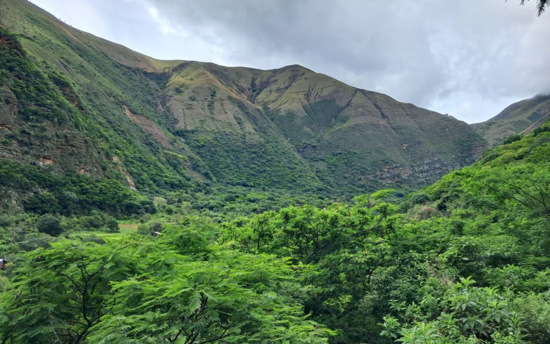 GORE IMPULSA DOS VIVEROS CON 10 MIL PLANTONES PARA FORTALECER CONSERVACIÓN Y DESARROLLO LOCAL EN BOLÍVAR